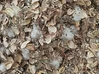 Чорва молар учун пахтачалик чангалок — 사진 4