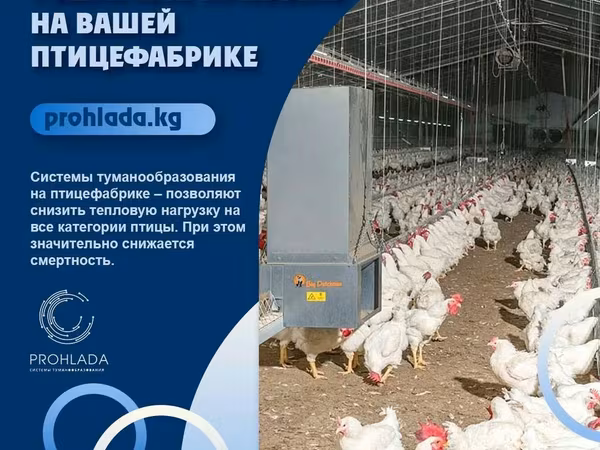 🌟 Преобразите вашу птицефабрику с системой туманообразования! 🌟 🔧
