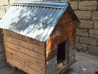 Taxta it evi - Material: qalın taxta lövhələrdən yığılıb, iç və dış — sawirka 1