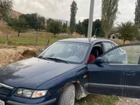 Cavalla, Cavalli — foto 5