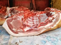 Продаëм мясо свинины, по оптовым ценам,оптом и в розницу. Доставка — sawirka 5