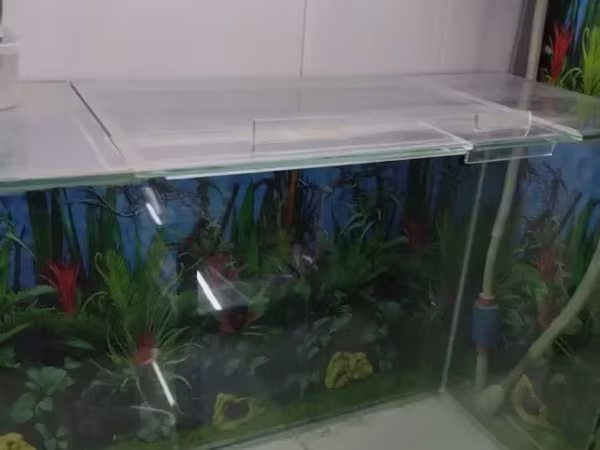 Аквариум из толстого стекла