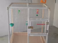 Papuqay,dovşan,hamster,şinşila,bildirçin,cücə,xamyak,pişik,quş,tısbağa — fotografija 1