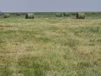 Руллон шоп малга — foto 1