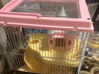 Hamster və tam avadanlıqlı qəfəs dəsti Məhsulun tərkibi: - Kiçik — foto 2