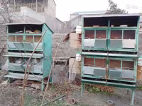 Ճագարի բներ 2 հարկանի — foto 5