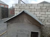 Taxta toyuq/broyler yuvası (mini tövlə) - Material: qalın faner — foto 2