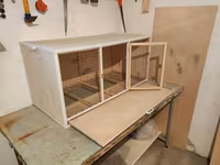 Papuqay,dovşan,hamster,şinşila,bildirçin,cücə,xamyak,pişik,quş,tısbağa — عکس 4