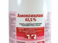 Амоксиклав 62,5% / Амоксициллина тригидрат и клавулановая кислота. — photo 1