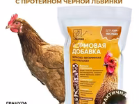 Витамины для кур несушек с Черной львинкой — عکس 1