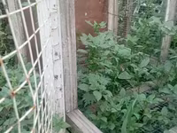 Ճագարի Վանդակ 2 տեղանոց — фото 2
