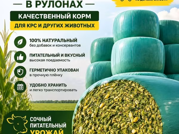 Высококолорийный турецкий сорт торро доставка договорная находимся в