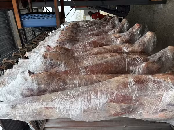Говядина туши, полутуши молодняк коровы.