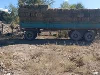 Сено в тюках (прямоугольные кипы) - Заготовлено на луговых угодьях; - — foto 1