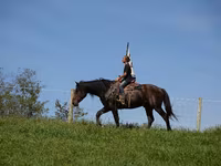 Pastuv, Racking Horse — fotografija 2