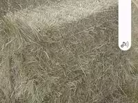 Խոտի տուկեր լավ որակի — عکس 3
