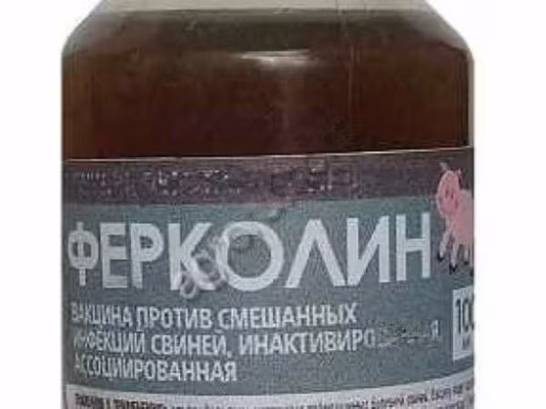 ФЕРКОЛИН для повышения иммунитета у свиней и поросят