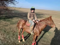 Ձի, Ձիեր — լուսանկար 1