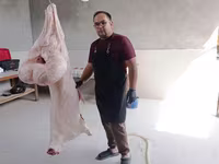 قوچ, گوسفند — عکس 2