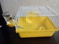 Hamster (xamyak) üçün qəfəs dəsti satilir. Dəstə daxildir: 1 eded su — foto 1