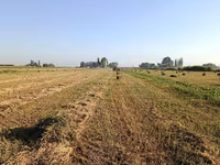 Пресстелген Беде Люцерна сатылат подпокровный арпасын чопко чааб — photo 1