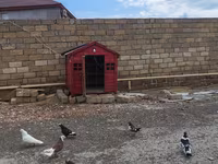 Qırmızı taxta quşxana / göyərçin yuvası - Material: möhkəm taxta — fotografija 2