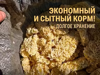 Яичная лапша для скота — экономичный и сытный корм. - Назначение — ፎቶ 2