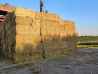 Baloți din paie orz — Foto 1