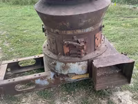 گاو نر, گاو — عکس 3