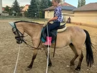 Кобила, Коне — снимка 1