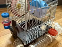 Hamster üçün tam dəst 2 mərtəbə qəfəs - Metall karkaslı, çıxarılan — foto 2