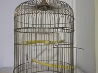 Zədəsiz,ideal vəziyyətdə.Zavod malı,3 qapılı.Hündürlüyü 50 sm — عکس 4