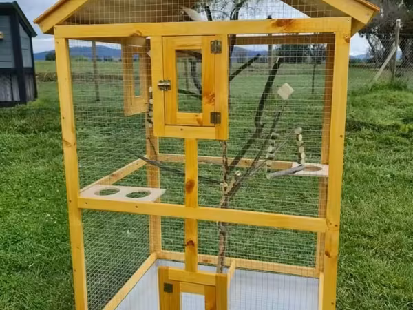 ✨ Əl işi qəfəs & yuvalar 🏠💛 🦜🐕🐓 Sevimli heyvanlar üçün rahat və