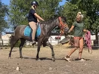 Klisna, Hucul pony — foto 6