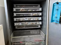 Incubator de ouă ILB-0.5 — Foto 2