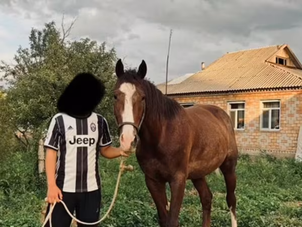 Horse (M), Horses — Kyrgyzstan