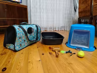 Ev pişiyi üçün aksesuar dəsti KOMPLEKT SATILIR !!! - Qapalı pişik — fotografija 2