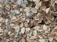 Чорва молар учун пахтачалик чангалок — 사진 3