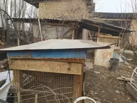 Коён кана
 клетка для кроликов
Джалал Абад — फ़ोटो 2
