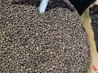 Vind hrană pentru porumbei — снимка 5