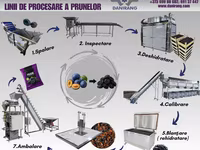 Utilaje de prelucrare a fructelor si legumelor:spalare,calibrare,blansare,uscare..etc — عکس 2
