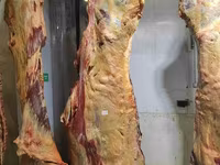 Мясо говядины в полутушах — फ़ोटो 4