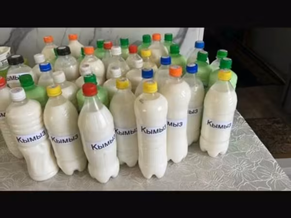 Кымыз в пластиковых бутылках - Натуральный традиционный кобылый