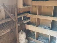Taxta quşxana/yuvalıq kabineti - Material: qalın taxta karkas, ön — عکس 3