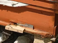 Arıçılıq üçün taxta arı pətəyi - Material: qalın taxta, ön hissədə — عکس 3