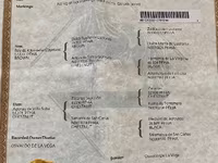 مادیان, Paso Fino — عکس 6