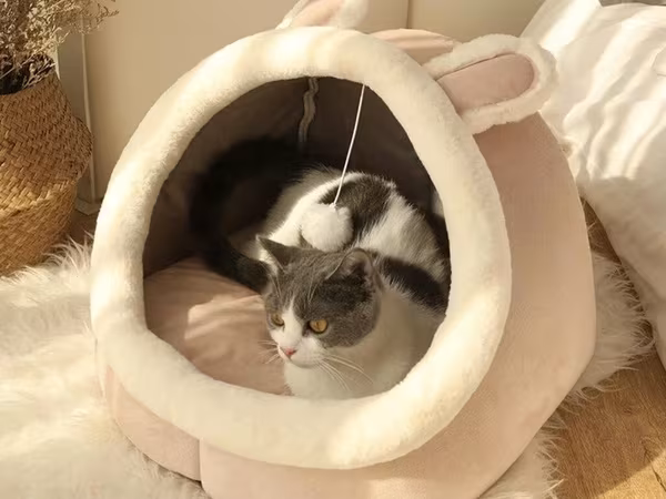 Домик для кошек