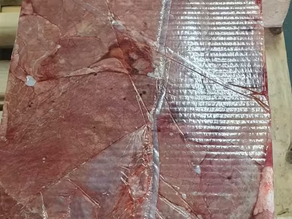 Легкое говяжье заморож парагвай