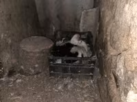 Inde orientale — photo 4