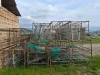 Հավի վանդակներ հավի բուն — fotografija 4